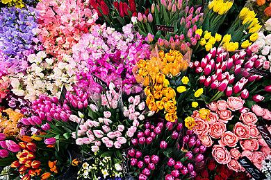 《幻耀的羽毛》Steam试玩发布 纵深卷轴3D射击